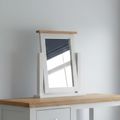 Lundy Dressing Mirror - Grey Painted