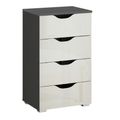 Rauch Arnstein 4 Drawer Narrow Chest - Metallic Dark Grey and White High Gloss