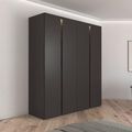 Rauch Luana 201cm 4 Door Wardrobe with Lighting - Graphite and Atlantic Dark Oak