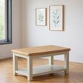 Janelle Oak and Grey Coffee Table