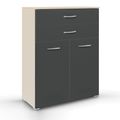 Rauch Aditio 2 Door Cupboard with 2 Top Drawer - Champagne and Metallic Dark Grey