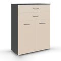 Rauch Aditio 2 Door Cupboard with 2 Top Drawer - Metallic Dark Grey and Champagne