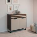 Rauch Barea 2 Door Chest - Champagne and Atlantic Dark Oak