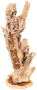 Beehive Sculpture - 20 Bees - Teak Root