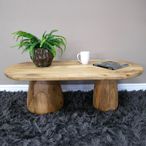 Coffee Table - Oval - Mango Wood