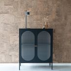 Adelaide Cabinet - 2 Door - Small - Black Metal