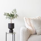 Tree - Artificial - Olive