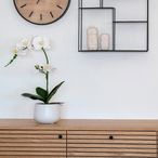 Plant - Artificial - Orchid