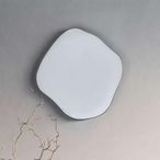 Organic Wall Mirror - Black Metal - Abstract - 77cm x 81cm