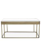 Ella Coffee Table - Mirrored with Gold Metal