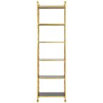 Horizon Bookcase - Black Glass with Gold Metal