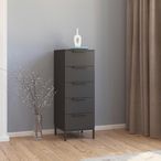Rauch Flipp 5 Drawer Tall Chest with Metal Base - Graphite