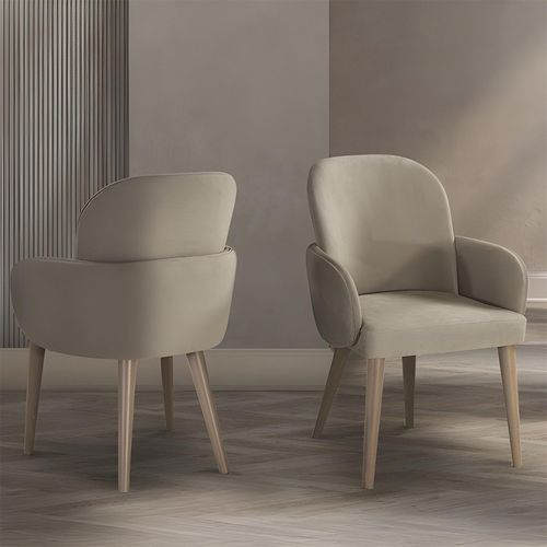 Abbie Fabric Dining Armchair - Variation Available