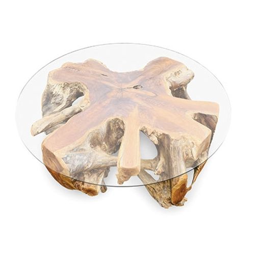 Teak Root and Glass Round Large Spider Coffee Table