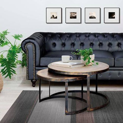 Bugusa Bronze Metal Round Coffee Table - Set of 2