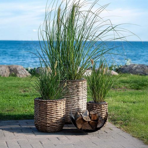 Hanoi Natural Waterhyacinth Planter - Set of 3