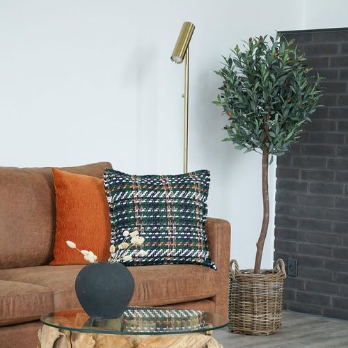 Fairlawn Green Olive Tree