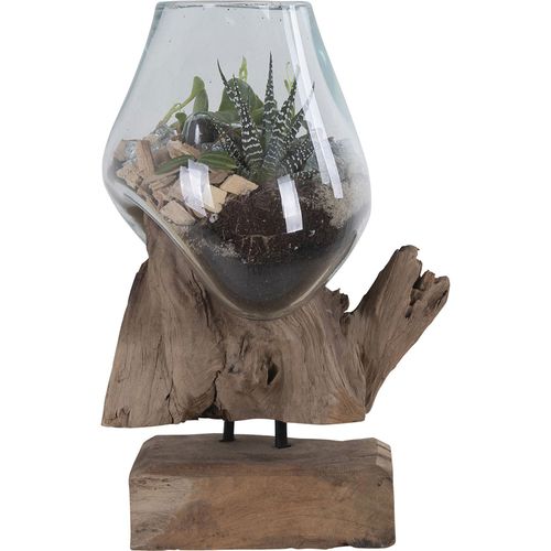 San Marino Teak Wood and Glass Waterdrop