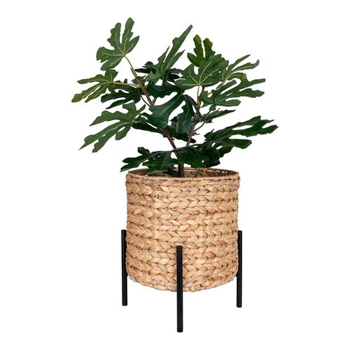Antas Natural Waterhyacinth Planter