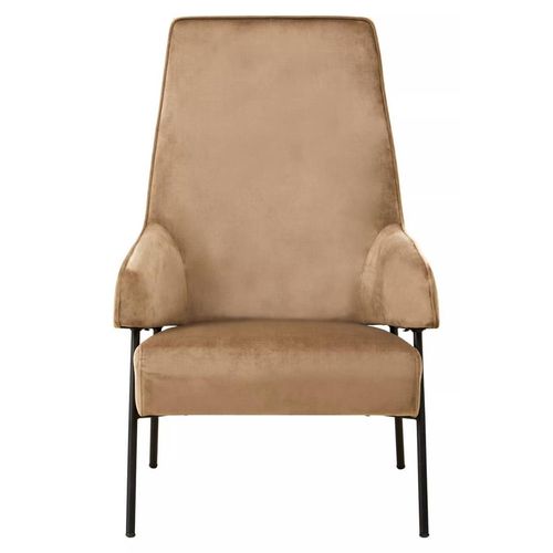 Henia Mink Velvet Fabric Armchair