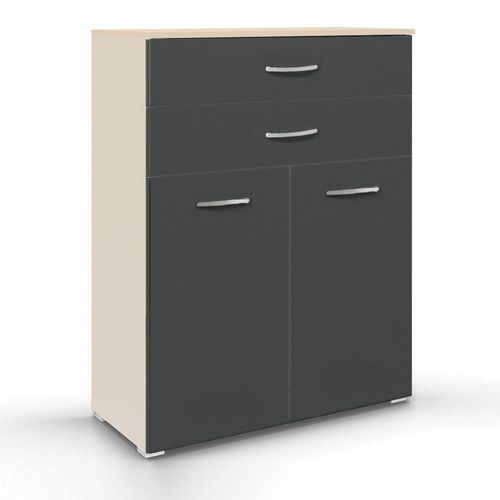 Rauch Aditio 2 Door Cupboard with 2 Top Drawer - Champagne and Metallic Dark Grey