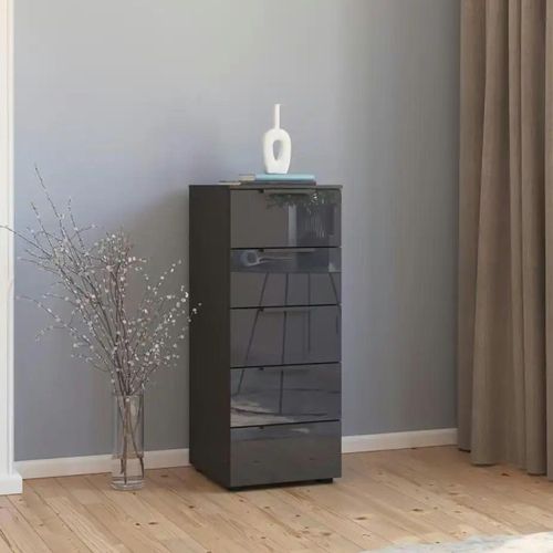 Rauch Flipp 5 Drawer Tall Chest with Adjustable Height - Graphite and Basalt Glass