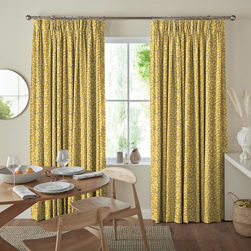 Steer Curtain - Sunflower