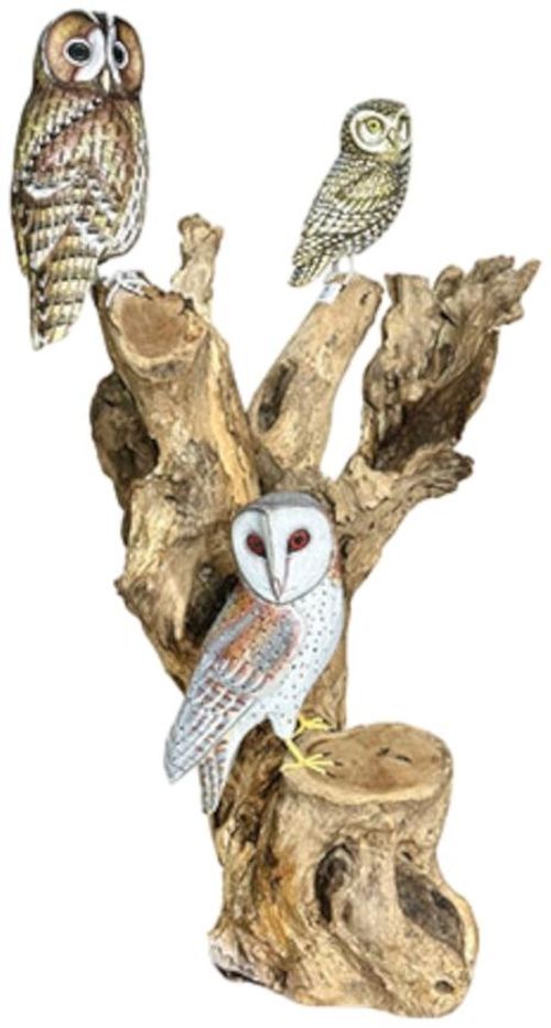 Special Sculpture - 3 Owls Large - Teak Root