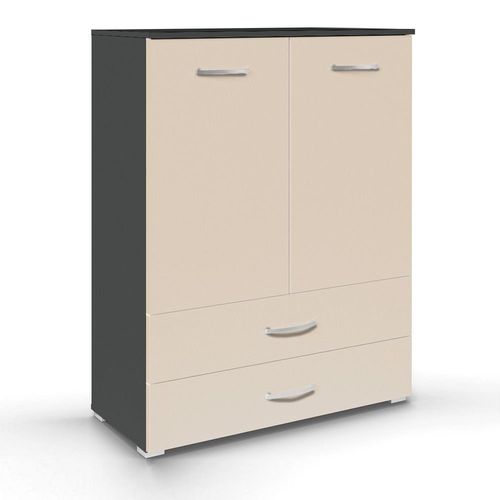 Rauch Aditio 2 Door Cupboard with 2 Bottom Drawer - Metallic Dark Grey and Champagne