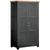 Wilmont Black Painted 2 Door Hanging Wardrobe