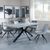 Ezra Grey Dining Set with Spider Legs - Arctic Grey Velvet Fabric Swivel Dining Chair