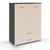 Rauch Aditio 2 Door Cupboard with 2 Bottom Drawer - Metallic Dark Grey and Champagne