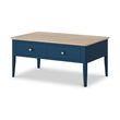 Marlow Blue 2 Drawer Coffee Table