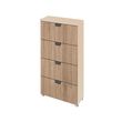 Rauch Aditio 4 Drawer Narrow Chest - Champagne and Sonoma Oak