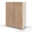Rauch Aditio 2 Door Cupboard with 2 Top Drawer - Champagne and Sonoma Oak