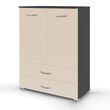 Rauch Aditio 2 Door Cupboard with 2 Bottom Drawer - Metallic Dark Grey and Champagne