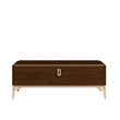 Modern Eva Walnut Italian Storage Coffee Table with Gold Trim