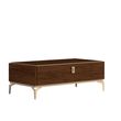 Modern Eva Walnut Italian Storage Coffee Table with Gold Trim