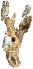 Special Teak Root 3 Owls Large Sculpture