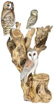 Special Teak Root 3 Owls Large Sculpture