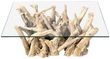 Driftwood Root and Glass Small Coffee Table