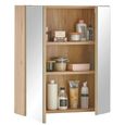 Austin Oak Mirrored Cabinet - 2 Door