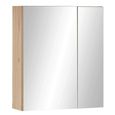 Austin Oak Mirrored Cabinet - 2 Door