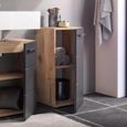Vista Storage Cabinet - 1 Door - Oak and Black