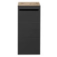 Vista Storage Cabinet - 1 Door - Oak and Black