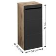 Vista Storage Cabinet - 1 Door - Oak and Black