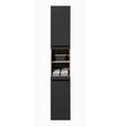 Vista Tall Cabinet - 2 Door - Oak and Black