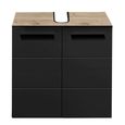 Vista Under Sink Cabinet - 2 Door - Oak and Black
