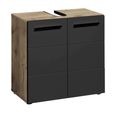Vista Under Sink Cabinet - 2 Door - Oak and Black