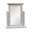 Lundy Dressing Mirror - Grey Painted